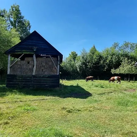Yurt