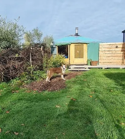 Yurt 럭셔리텐트 Liempde