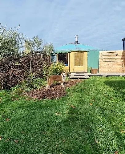 Yurt Luxury tent Liempde